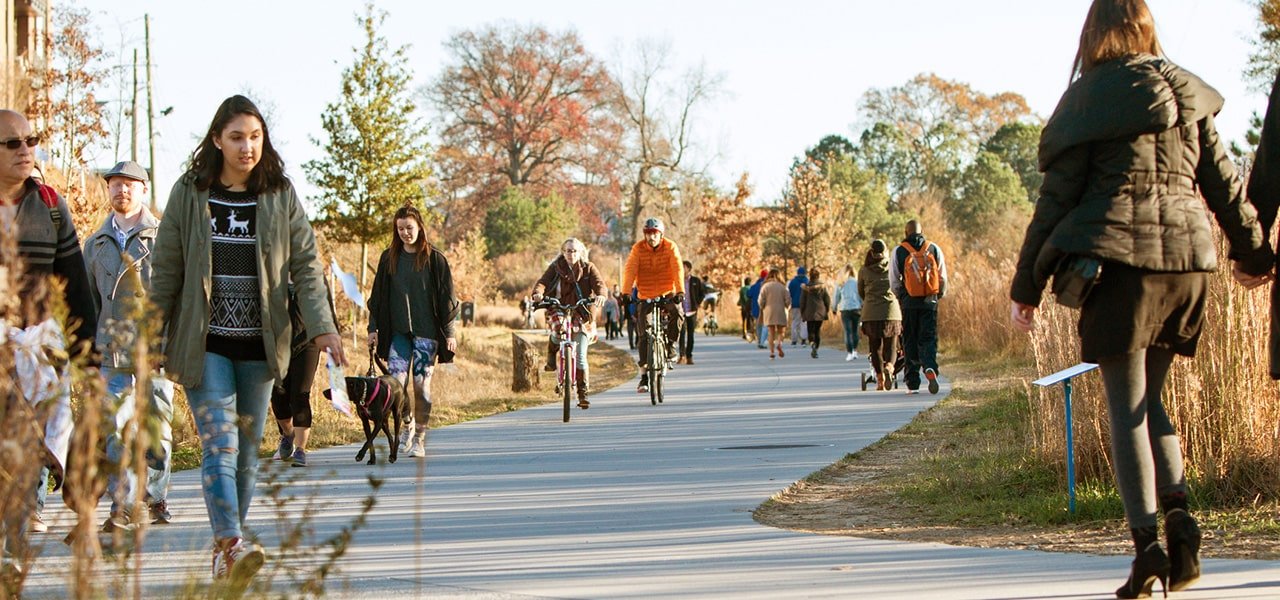 people biking and walking on paved path in park