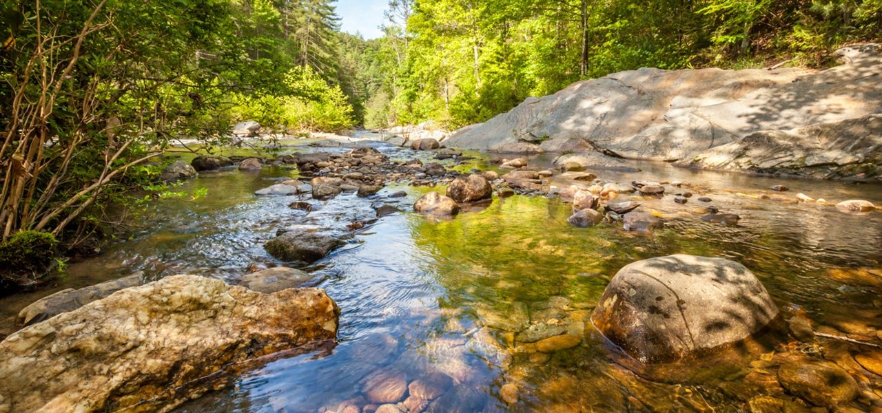 river in Chattahoochee national park