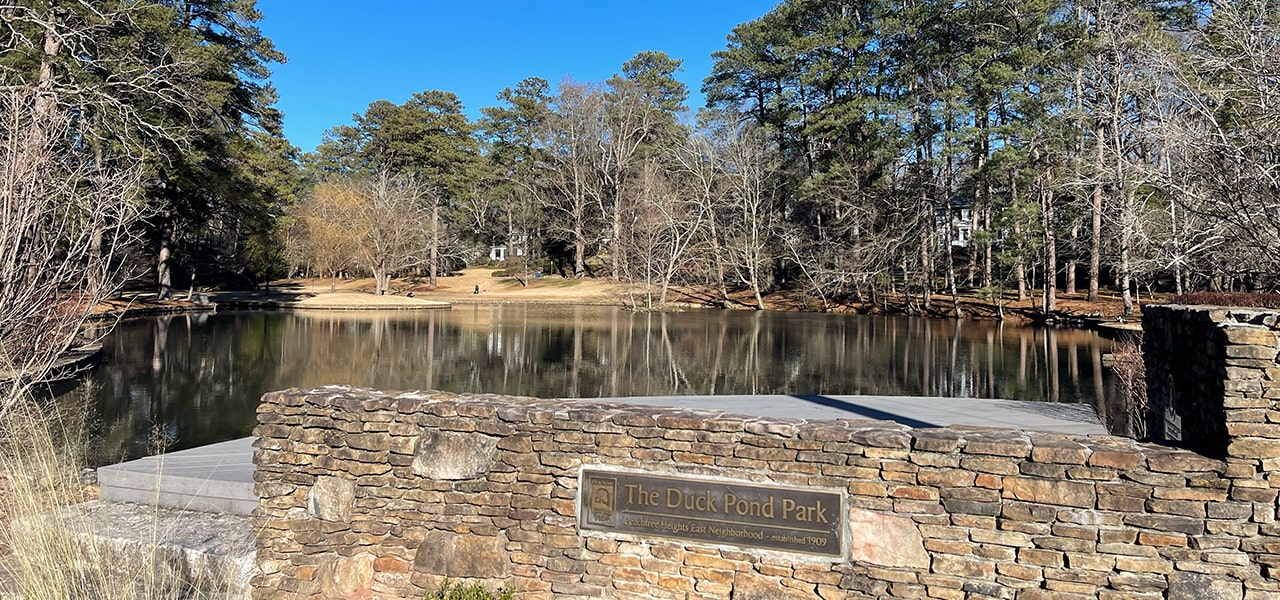 view of the Duck Pond Park with trees and water